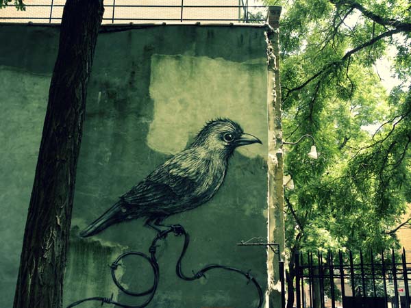 grafiti-tour-new-yotk-city