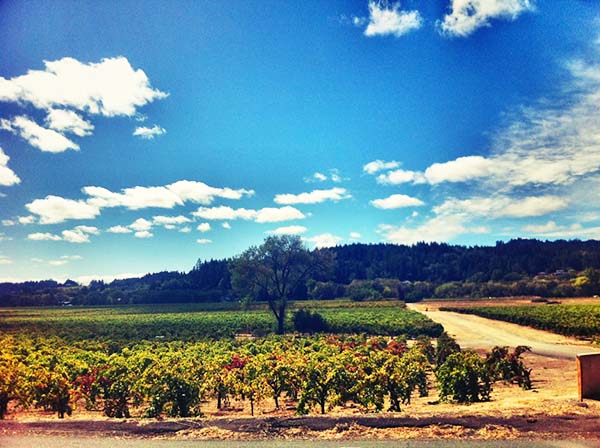 road-trip-california-sonoma