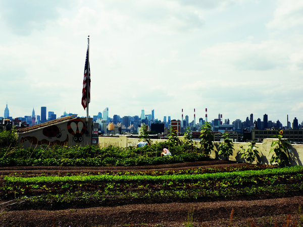Brooklyn Grange