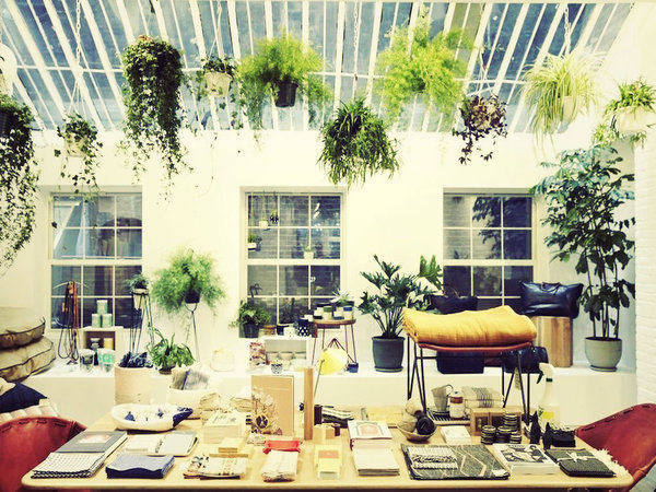 Concept Stores NYC: Steven Alan