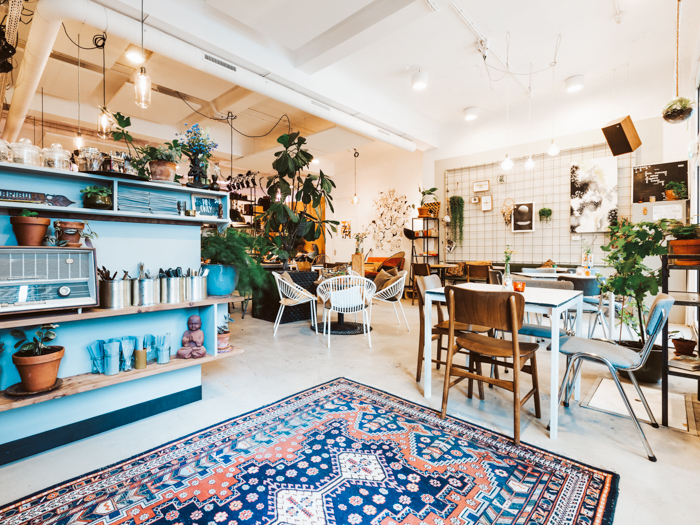 broei utrecht
