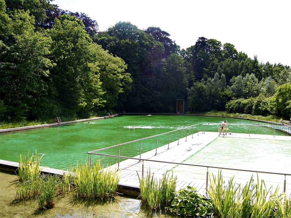 zwemvijver antwerpen