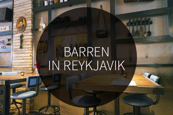 beste barren in reykjavik
