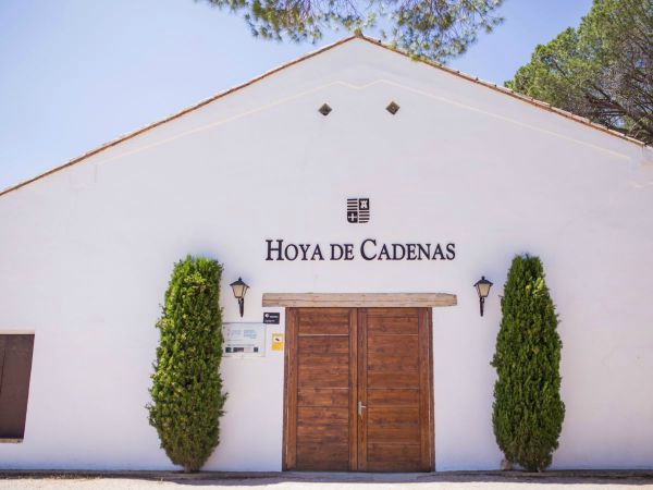 Vicente Gandia Valencia