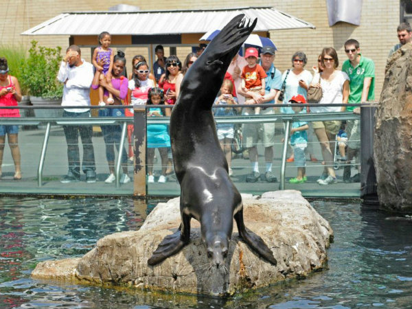 central park zoo new york