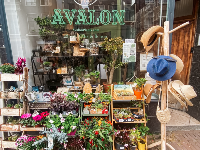 groene winkels amsterdam