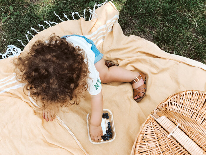 picknicken amsterdam