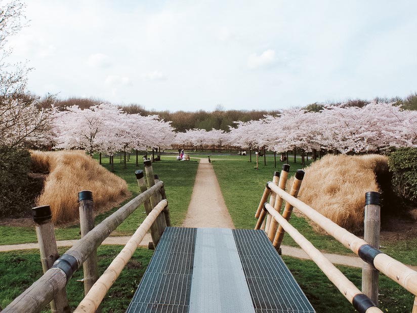 bloesempark amsterdamse bos bucketlist