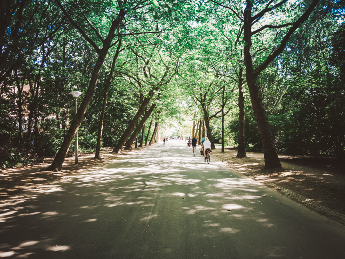 hotspots rondom vondelpark amsterdam