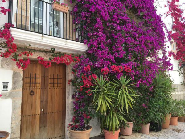 hotspots in ibiza stad dalt vila