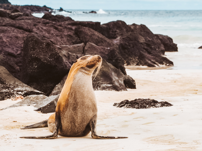 houtbaai Kaapstad tips