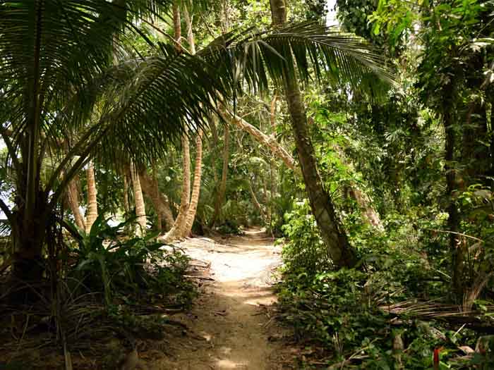 BOOTTOCHT IN TORTUGUERO