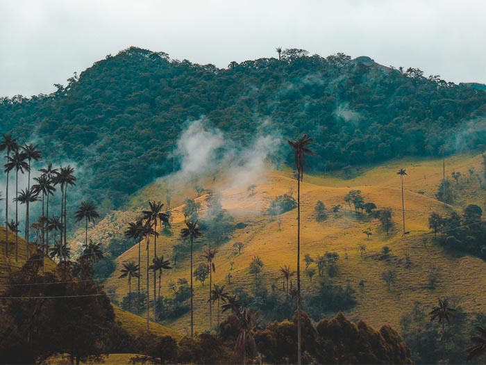 reis solo door colombia