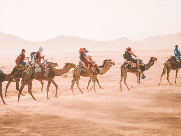 glamping in de sahara
