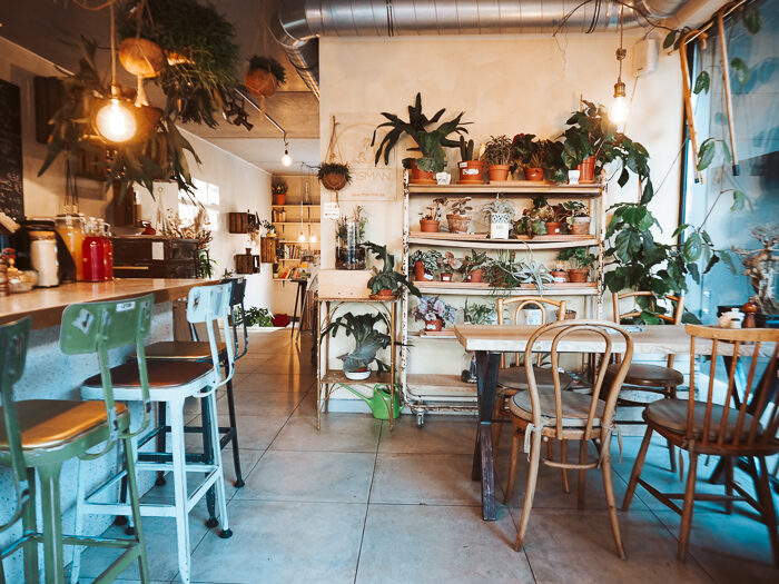 gent city guide travel guide hotspots