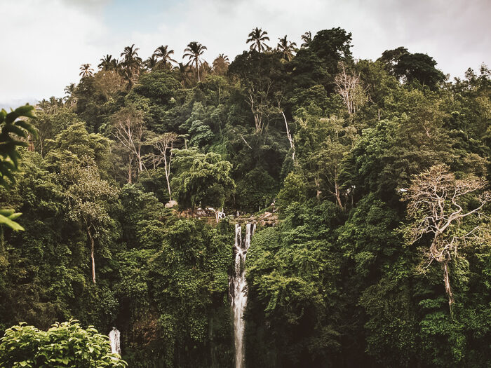 Sekumpul waterval