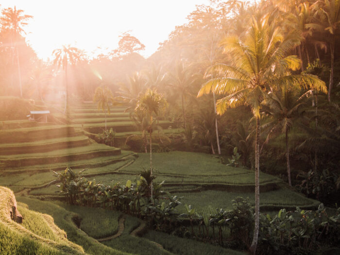 goedkope vakanties Bali pakketreizen