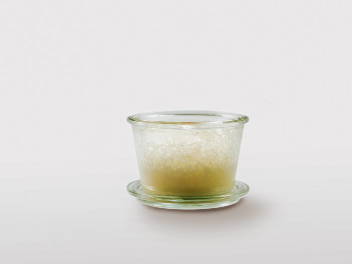 Recept hoofdhuidreiniger