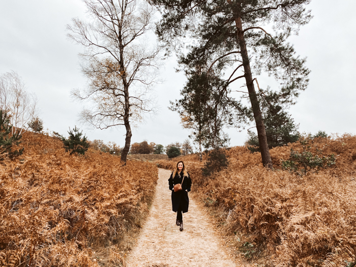 wandelgebieden nederland