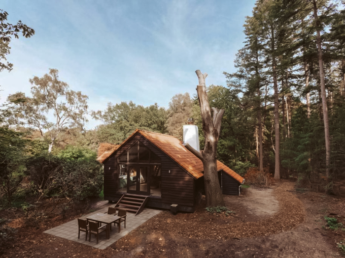 vakantiehuis bos landgoed denneholt
