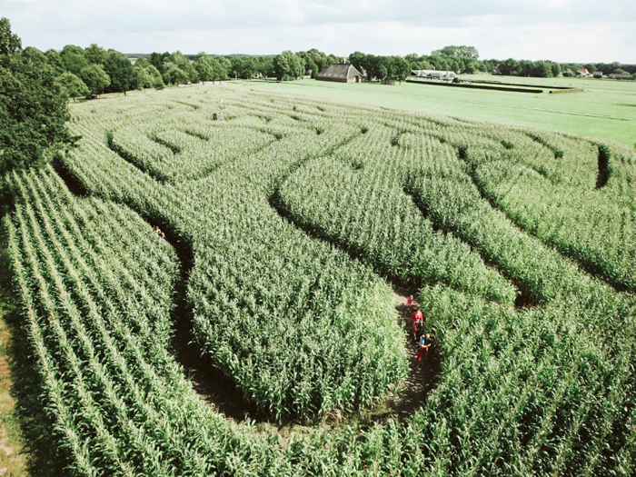 beste maisdoolhoven Nederland