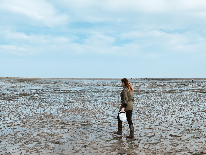 beste plekken oesters rapen nederland