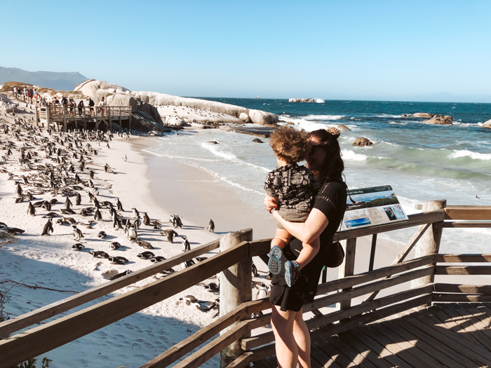 must do's Zuid-Afrika, Zuid-Afrika bucketlist