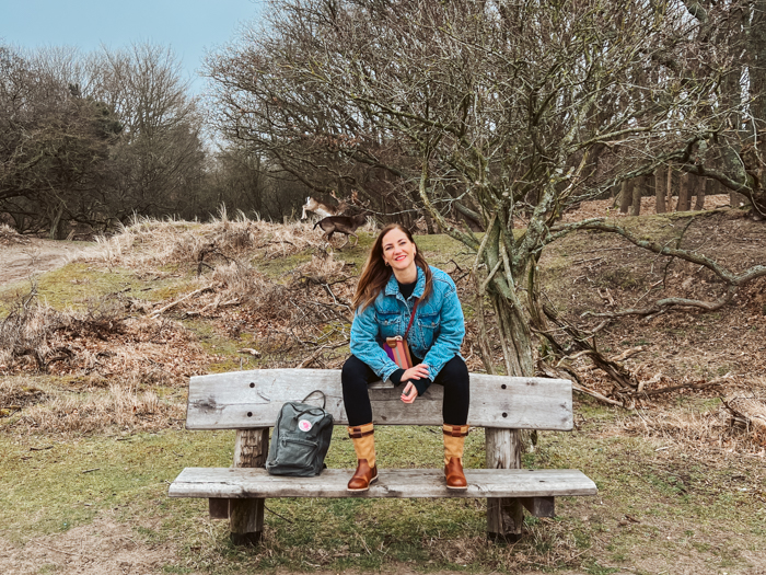 Travelin wandel map we walk weekend