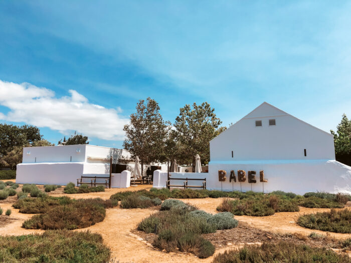 wijngebieden en wine estates in Zuid-Afrika