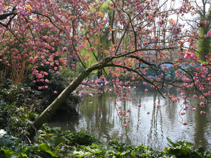doen lente amsterdam