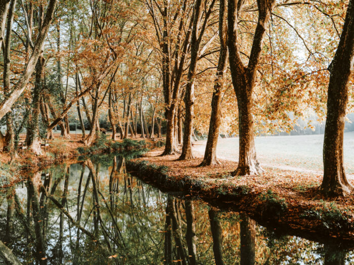 beste nationale parken Nederland