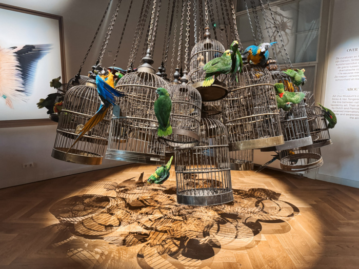 beste museum amsterdam