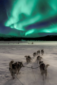 Noorderlicht & Lapland 