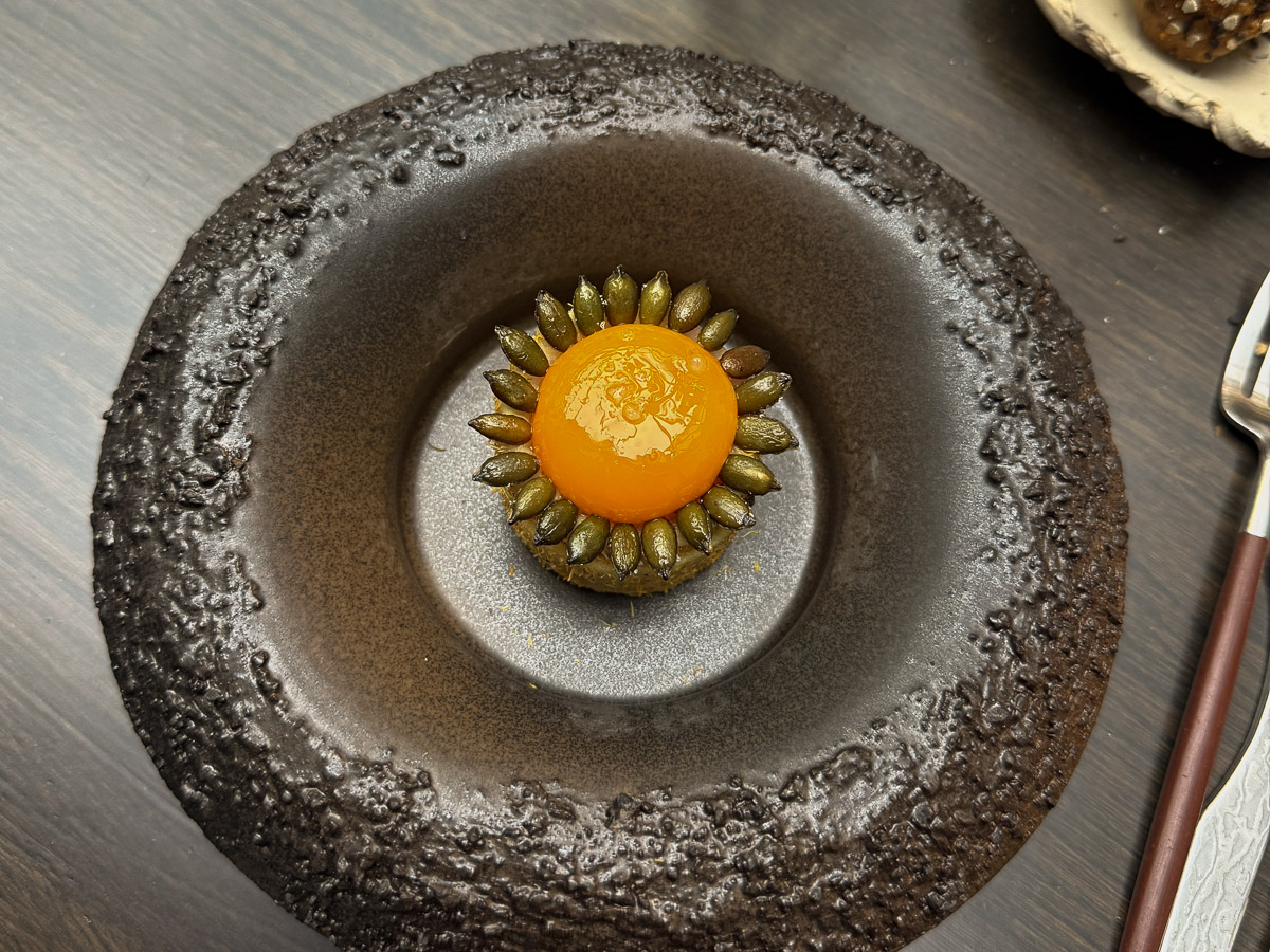 nieuwe michelinsterren restaurants in nederland 2026